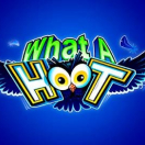 What A Hoot